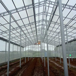 Green House Baja Ringan untuk Hidroponik